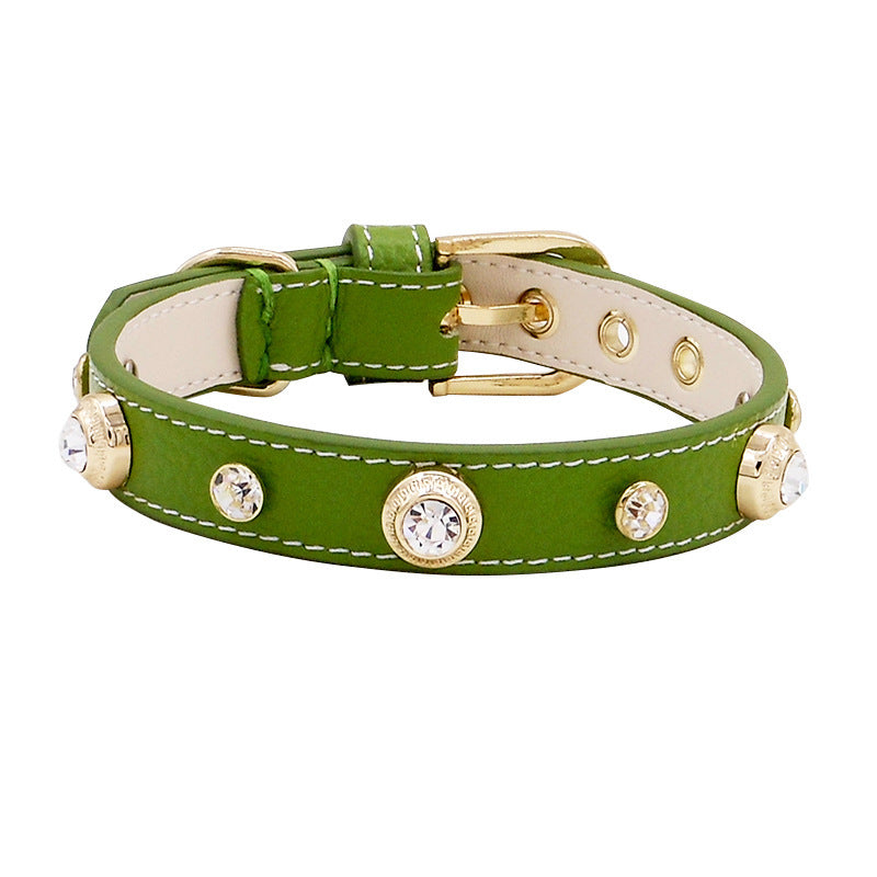 Discover the New Hot Sell Leather Pet Collar